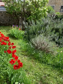 Large charming cottage in the heart of Arbois ”Paradise” - Image 5