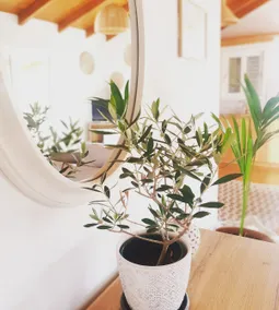 Elias house ~ sea, nature & relax - Image 3