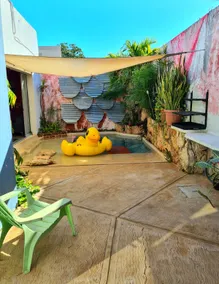 Casa Ashoka - Image 4