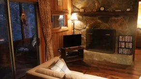 Deer Brook Cabin w/ Hot Tub, Fireplace & Brook - Image 5
