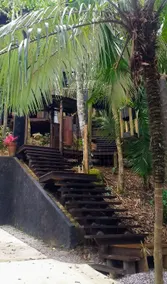Mountain House - Jungle Mountain - Image 3