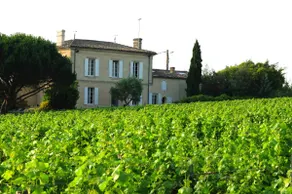 House with magnificent views of Château d'Yquem - Image 3