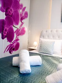 Orchid Studio 2 - Image 2