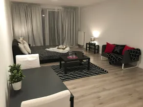 New Studio at Airport Mall with Garage Parking - Image 4