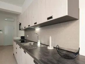 UR-NEST Dolfi - Image 3