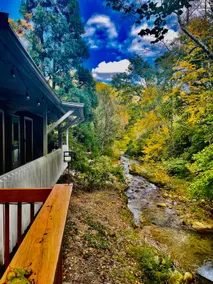 Restored Riverfront Cottage Escape- Chimney Rock - Image 4