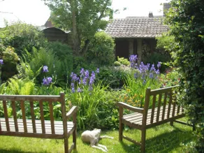 LE JARDIN DE JULIE WITH OR WITHOUT BREAKFAST - Image 3
