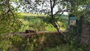 LA BAURETTE *** - Image 4