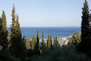 Alexandros Savvatis - Image 2