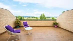 Rosaenea Tourist House in Olite, Navarre - Image 3