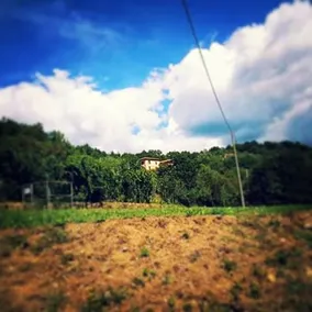 Cà Giulietto, an ancient farmhouse in the countryside - Image 4