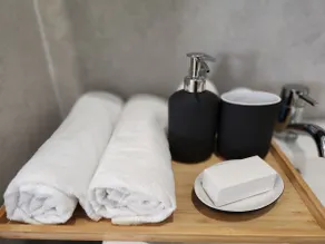Soleil Spa Montreuil 30 min from Paris. - Image 2