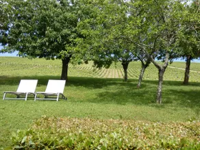 THE VINEYARD COTTAGE - Image 3