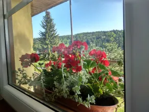 Cozy studio in a beautiful place (Bieszczady) - Image 2