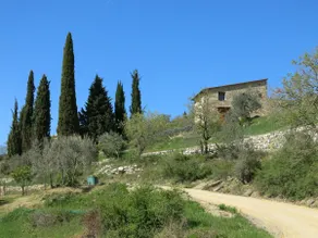 Agriturismo capanna delle Cozzole - Image 3