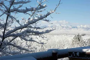 WILLOW's SKI RETREAT - Image 4