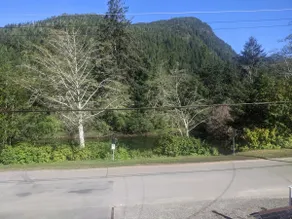 Tahsis Home on River's Edge - Image 5