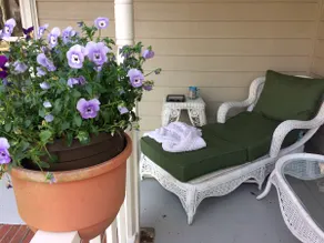 A Cozy Home - Image 3