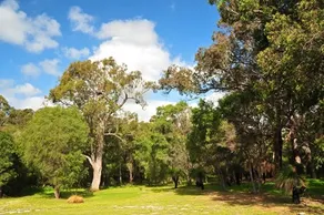 Acacia One - Image 3