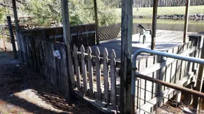 La Fish Camp - Image 4