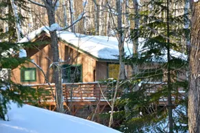 Cabine-Salle de bain privée-Romantique-Vue sur le bois-Hauser's Bayfield Cabin - Image 2