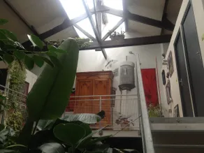 Vegetated loft + extension (10 P) - Image 3