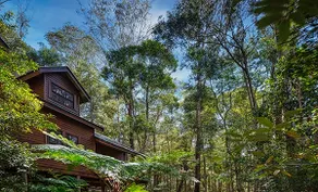Treetops - Big Tiny in World Heritage Wilderness - Image 2