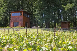 Great Cabin- Heart Of Wine Country! - Image 2