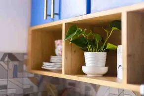 Beach and Country Getaway Apartment - Image 4