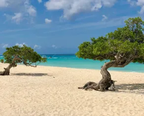 Aruba Eagle Beach Sunset - Image 3