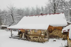 Enchanting antique cottage in the Polish forest - Image 2