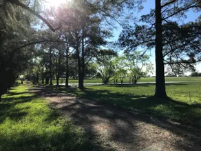 Casa de Campo Las Casuarinas, 90 minutes from the Obelisk - Image 4
