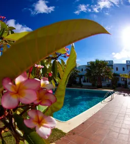 Peaceful Duplex & Pool - Image 3