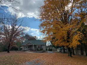 Eclectic Tiny House on 3.8 Acres - Image 2