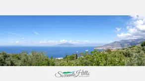 Sorrento Hills - Image 2