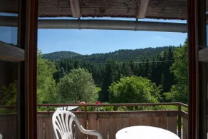 Oasis in the Bavarian Forest - Image 2