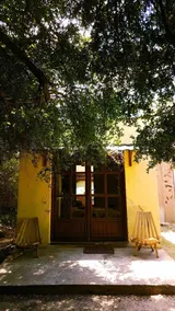 A living house in native forest near the beach - Image 2