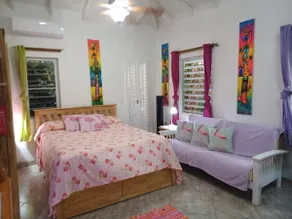 PINKSHACK STUDIO COTTAGE IN JUNGLE THEMED PATIO GARDEN - Image 3