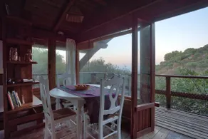 Cabin among olive trees - Image 4
