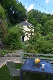 Cosy Cottage overlooking the Teifi Gorge - Image 5