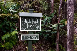 Fiddlehead House - Secluded Rain Forest Retreat - Image 5