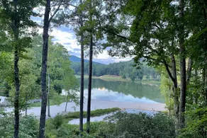 Stunning lake view in Big Canoe, beach, clubhouse - Image 3