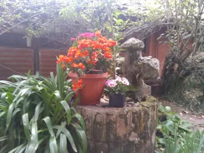 Cottage Kikimba- Private house in beautiful garden - Image 5