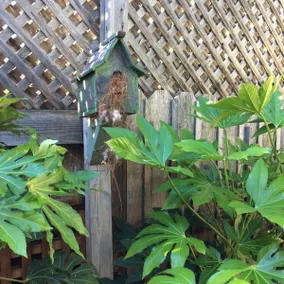 Be Happy! Cozy Sonoma Wine Country Hideaway - Image 2