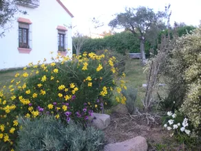 Villa - Image 4
