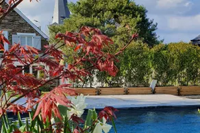 Private cottage – garden – 29-degree pool – dogs - Image 4