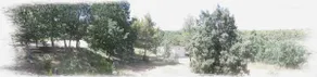 PITCHOUN - Aix en Provence - Image 4