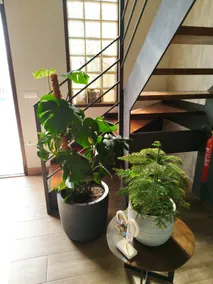 Mi lugar favorito - Image 4