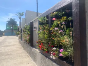Private house in the heart of Ensenada - Image 2