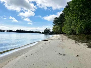 Secluded beach front cottage on the Chesapeake Bay - Image 3